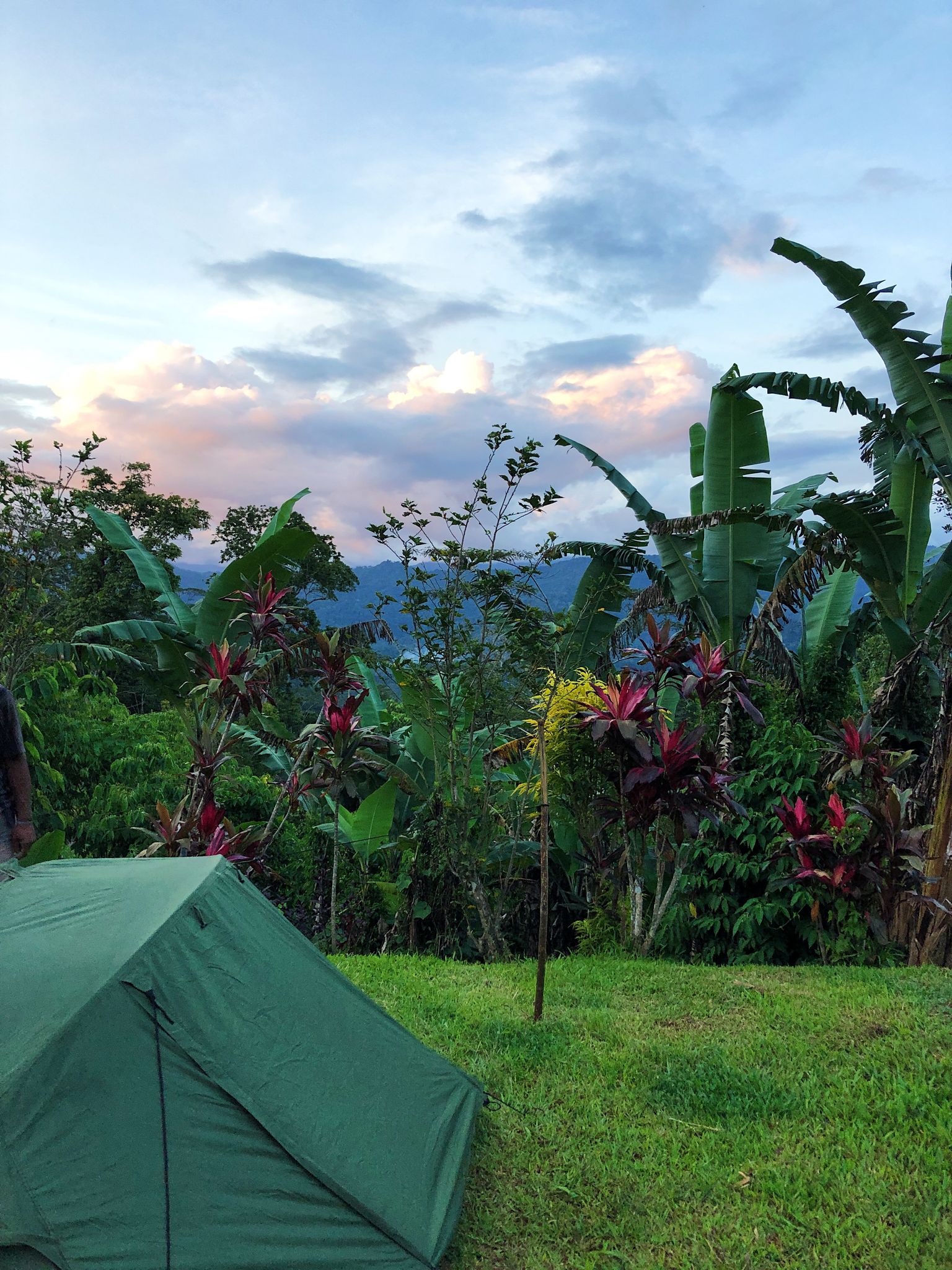 Real Papua New Guinea