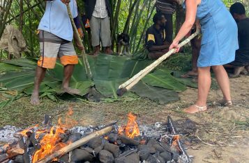 vegetarian in Papua New Guinea