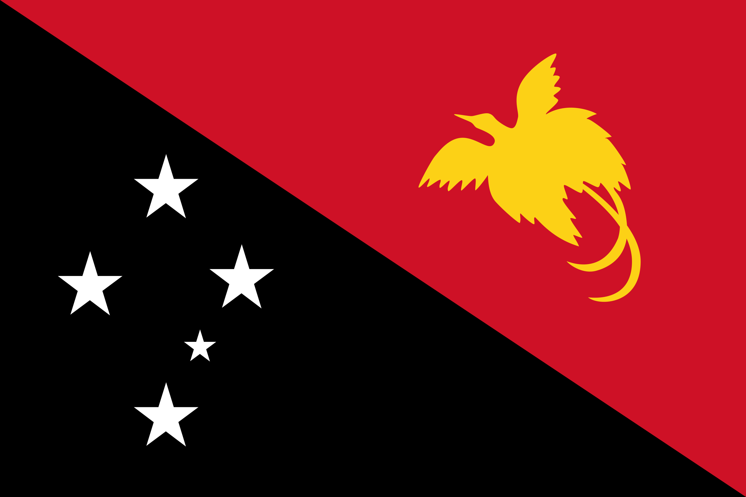 The Papua New Guinea Flag