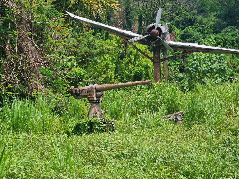 Trek to the wreck of Admiral Isoroku Yamamoto's plane — Young Pioneer Tours