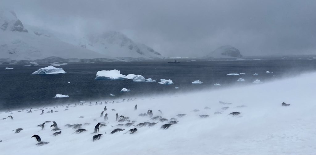 22 interesting facts about visiting Antarctica 
