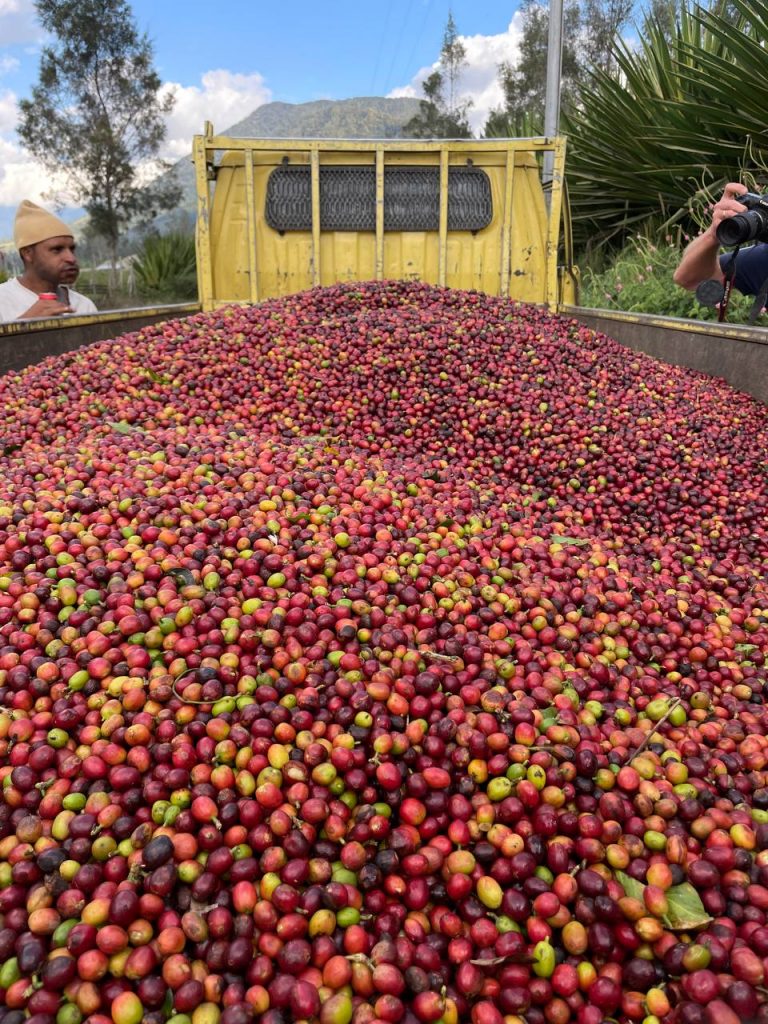 Drinks in Papua New Guinea