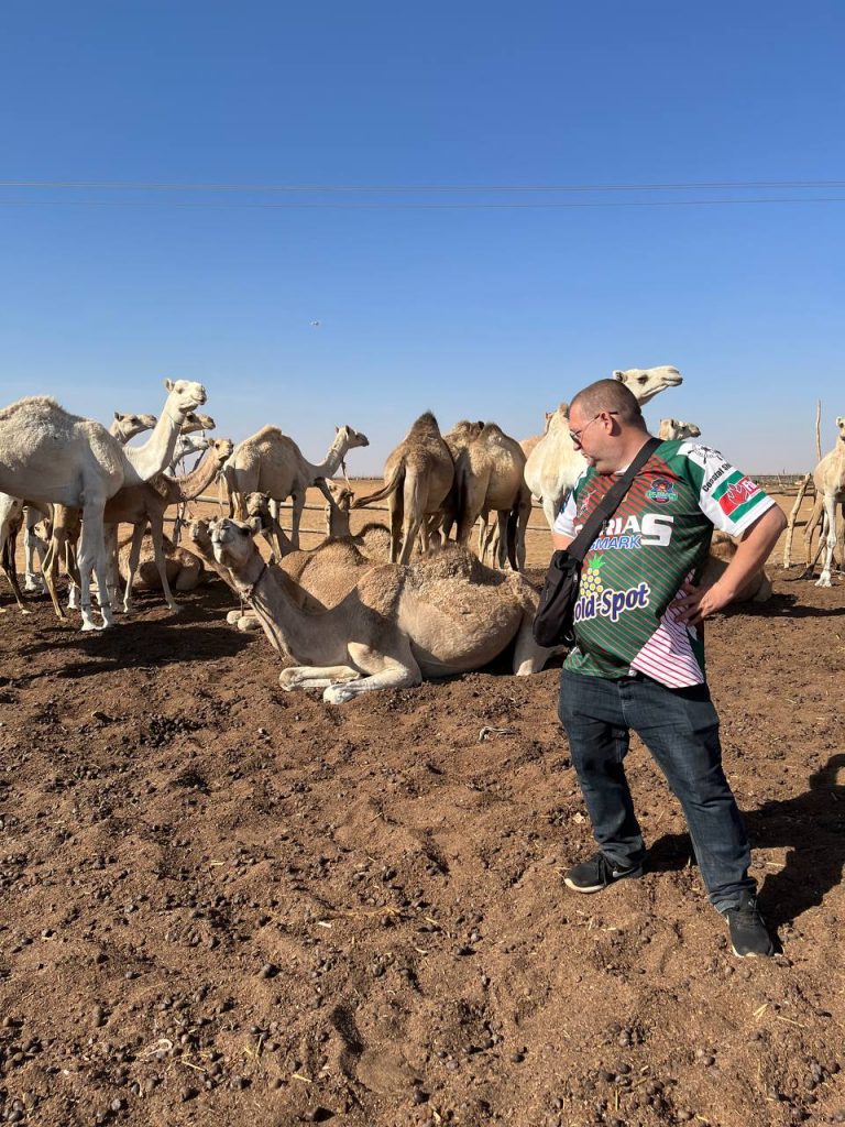 Camel Market