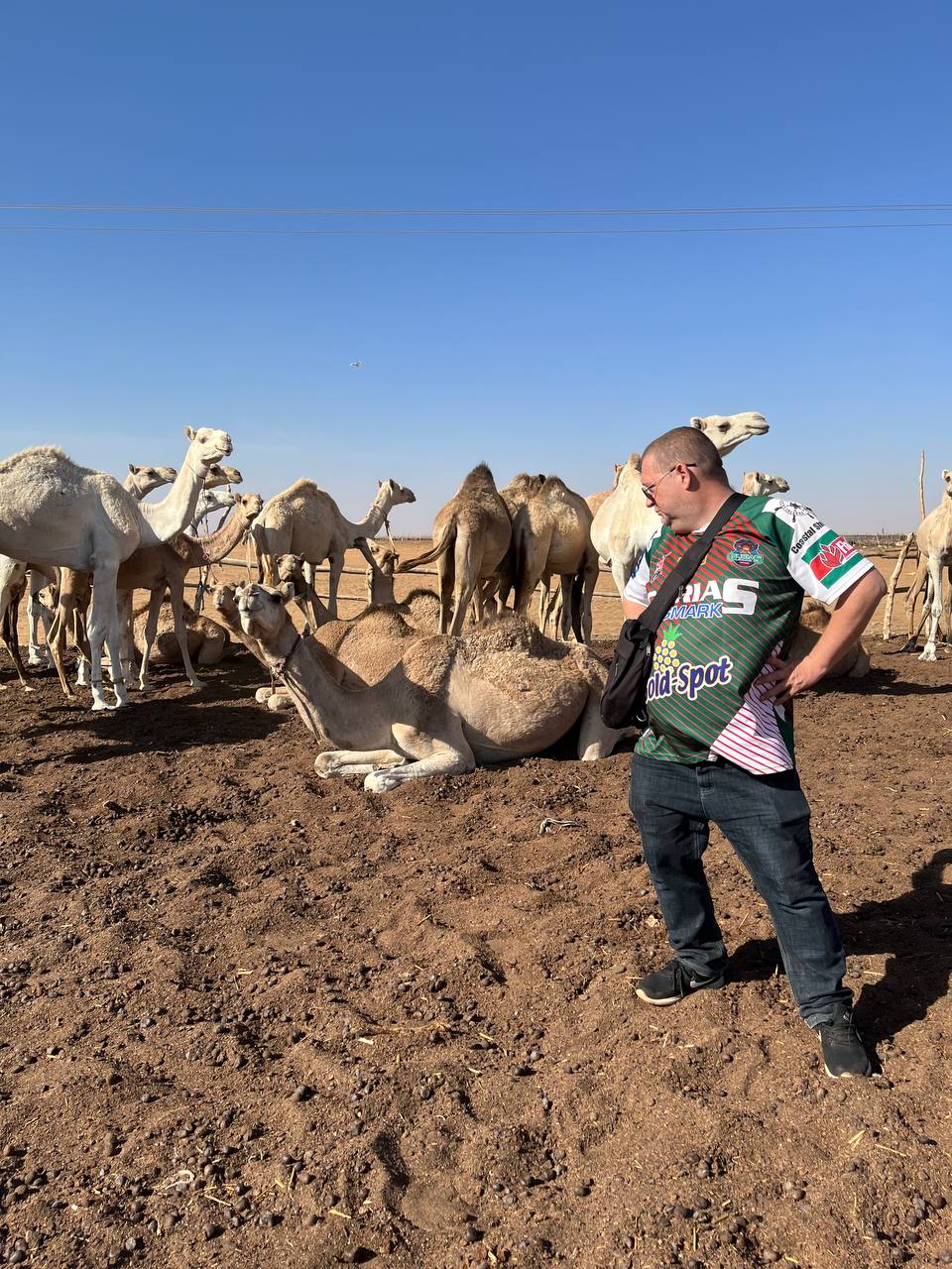 Camel Market