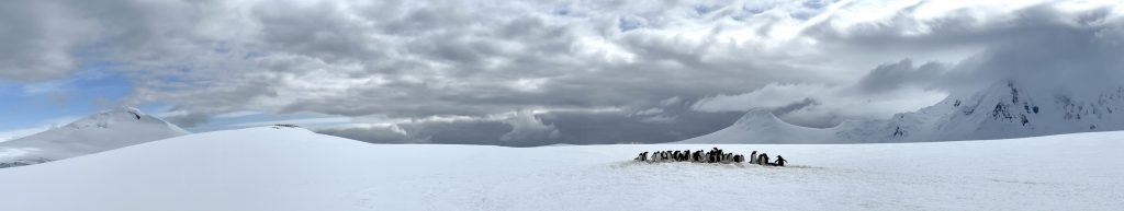 visiting Antarctica