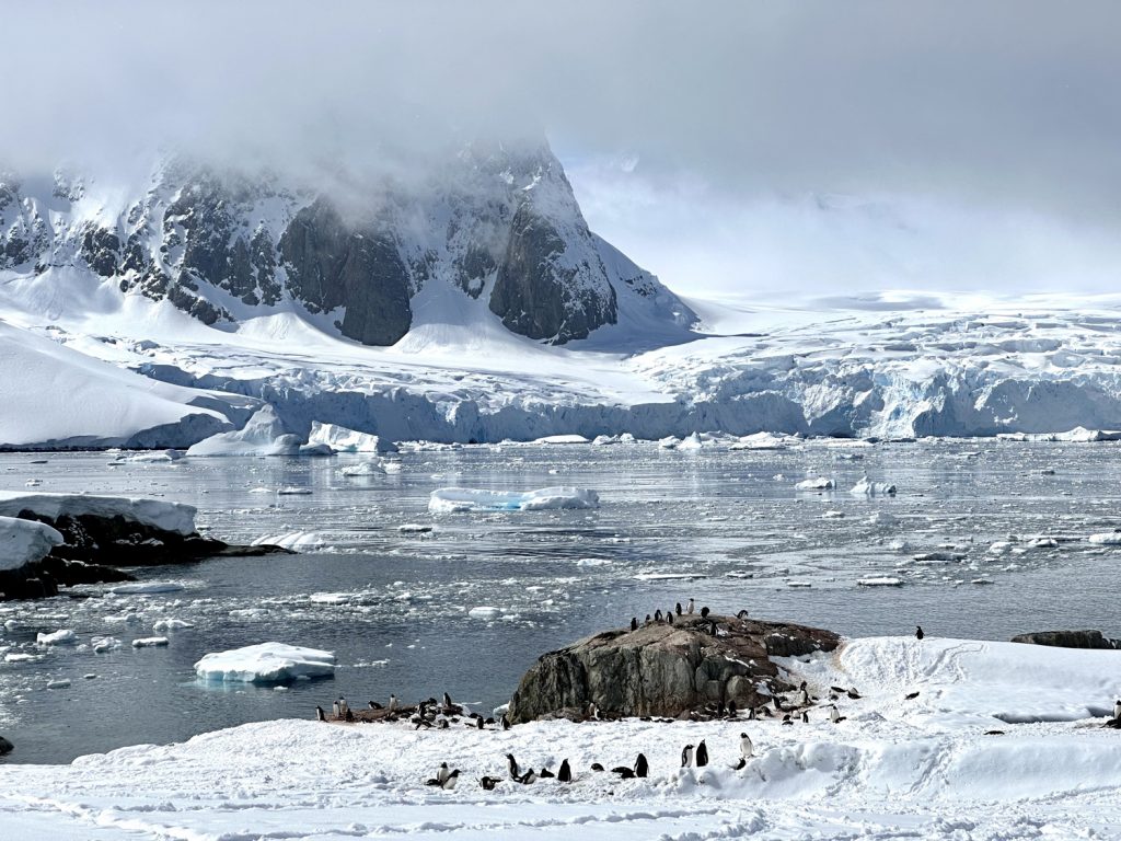 visiting Antarctica