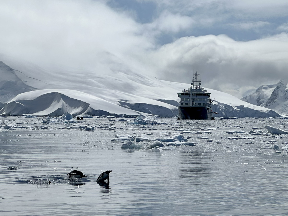 visiting Antarctica