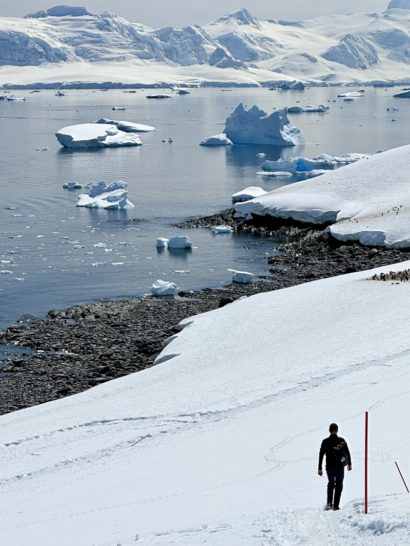 visiting Antarctica