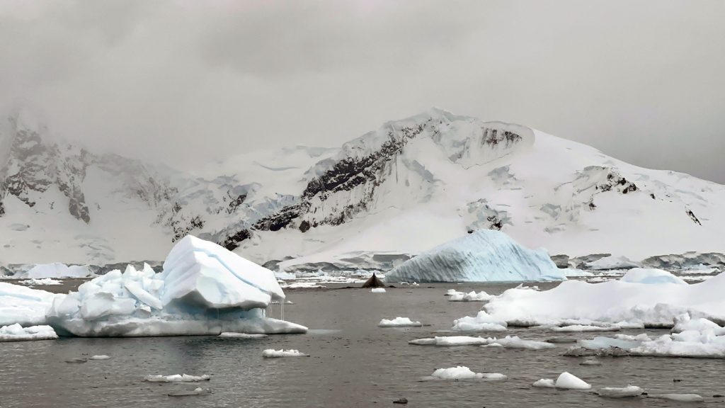 visiting Antarctica