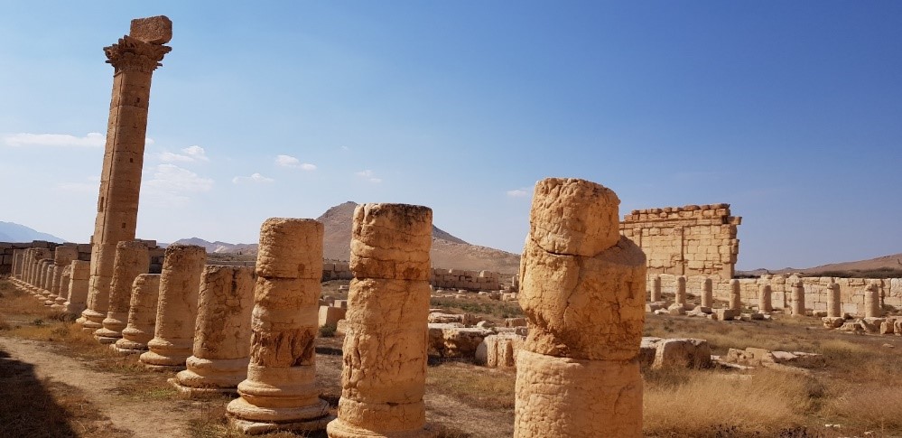 Palmyra