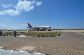 Socotra Guide