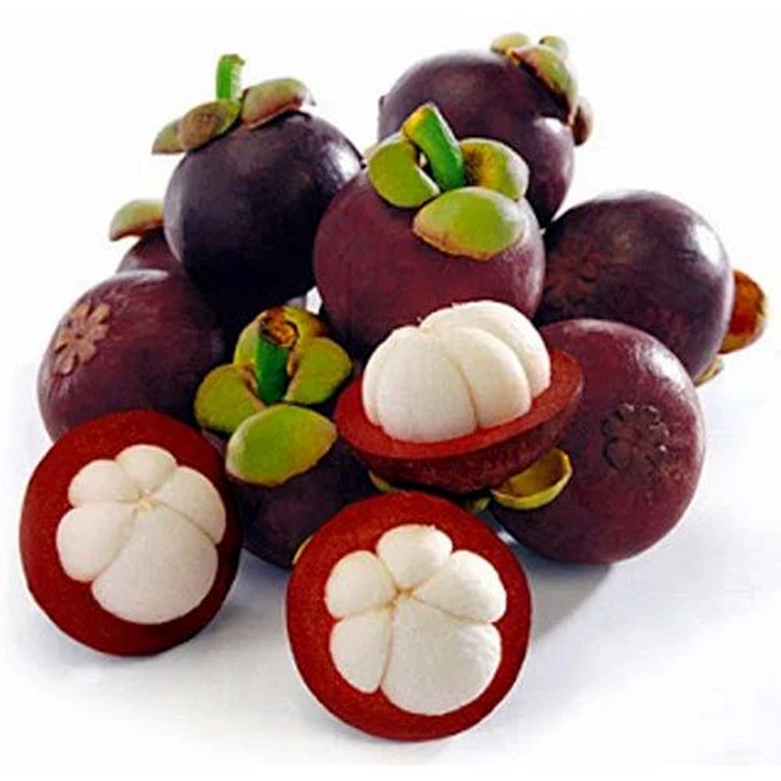 Mangosteen