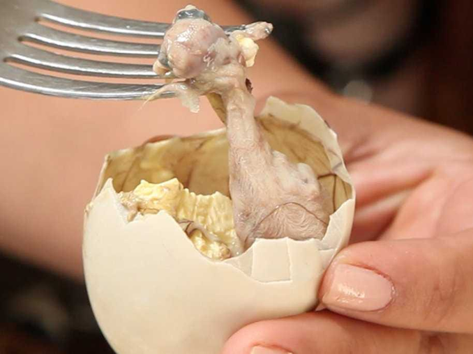 Balut