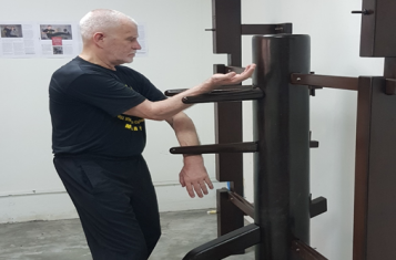 Mastering Wing Chun