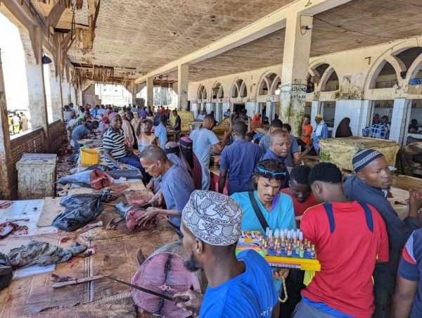 Best Somalia Tours for 2025 and 2026