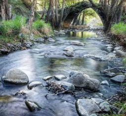 Cyprus: Island of Beauty, Culture, and Wonders
