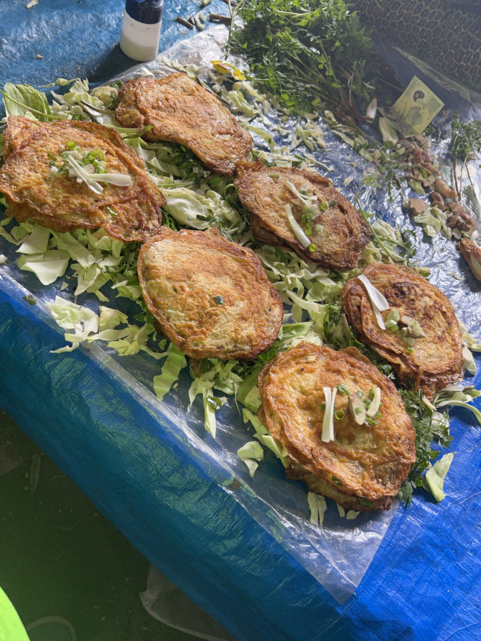 Vegetarian in Papua New Guinea