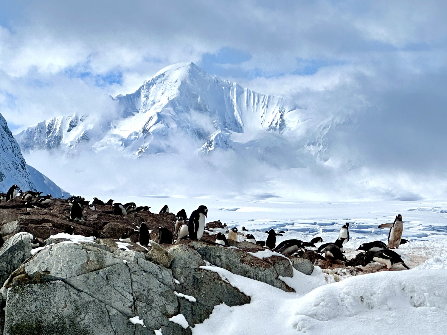 Antarctica tour panorama