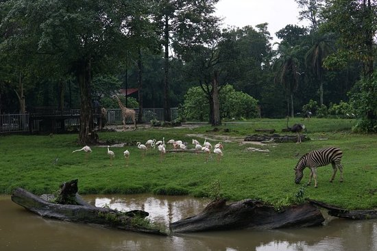 Taiping: Rain Town of Malaysia 