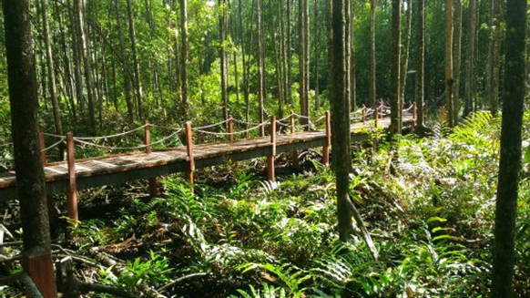 Taiping: Rain Town of Malaysia 