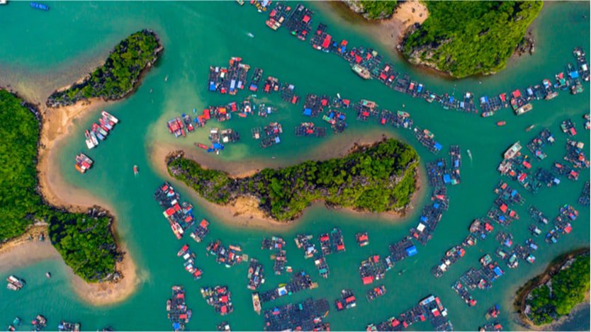 Halong Bay & Cát Bà: Sail into Serenity