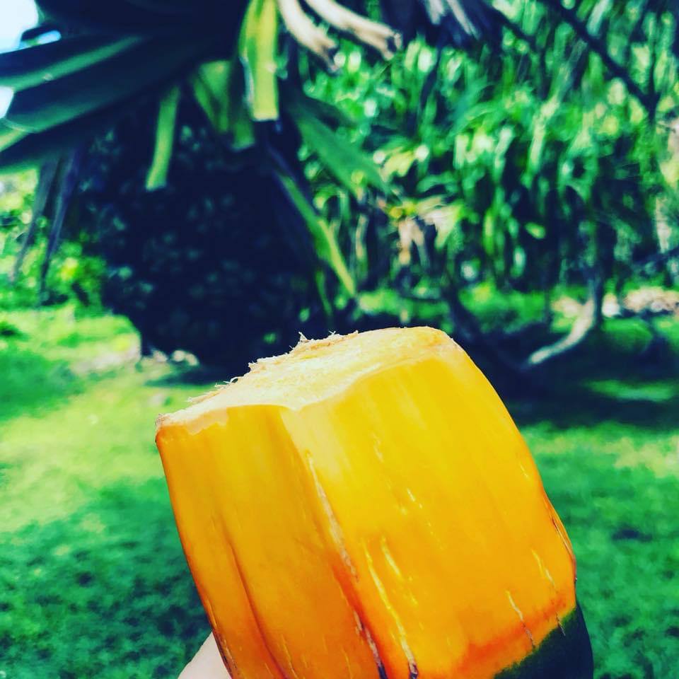 Marshall Islands fruit