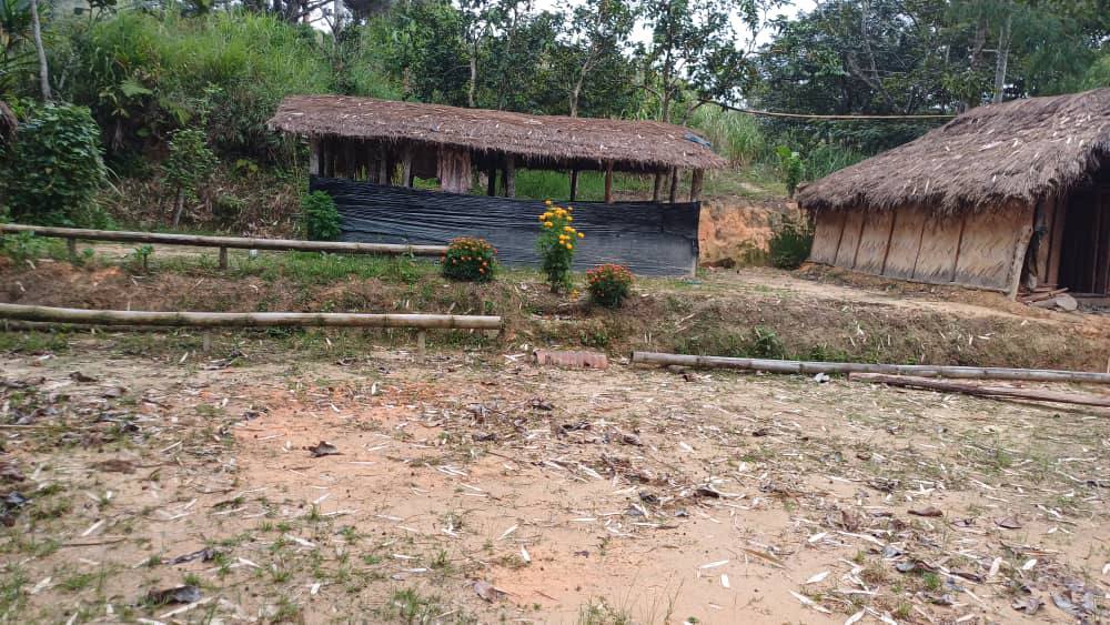 Homestay in Papua New Guinea