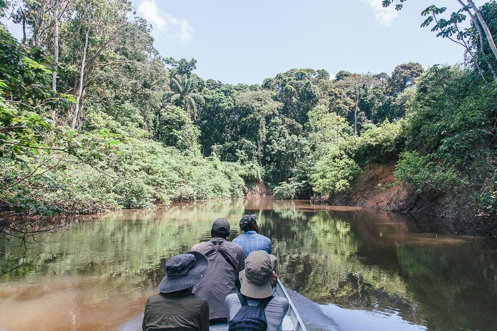French guiana tours