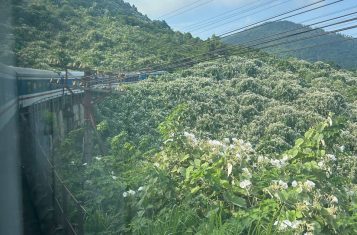 Da Nang to Hue