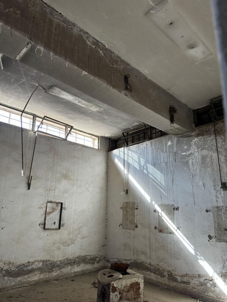 North-Eastern Syria tour 2026