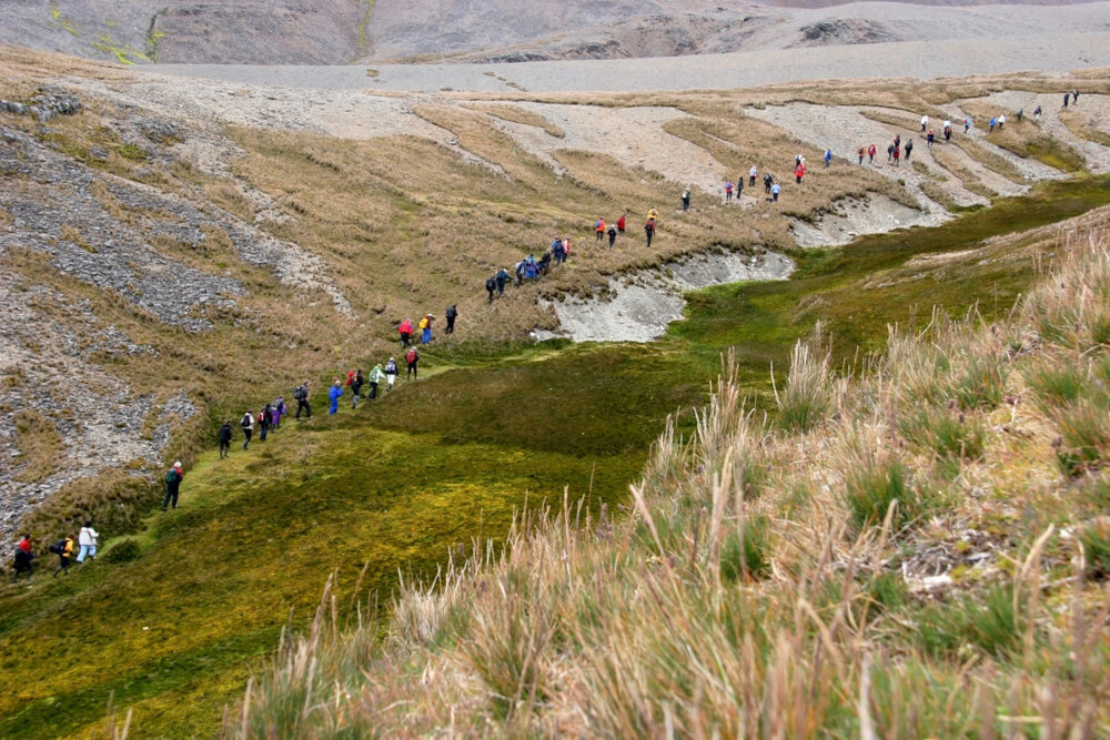 Falklands tours YPT
