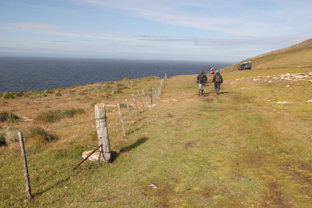 Falklands tours YPT