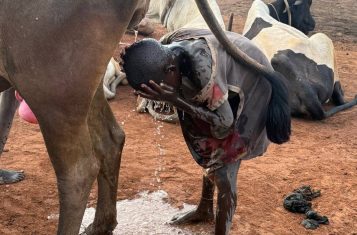 Cow Urine Shower