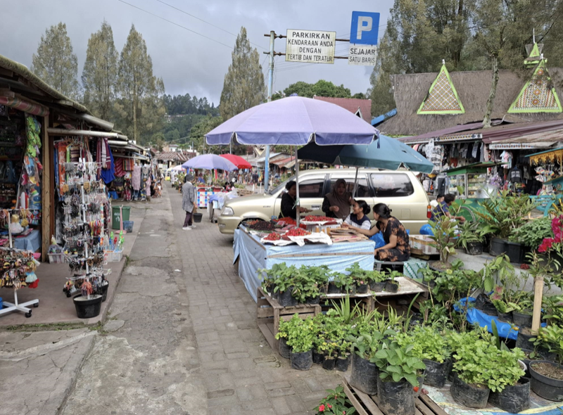 Berastagi Market
