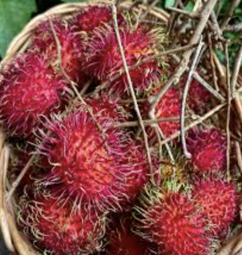 rambutan in a basket