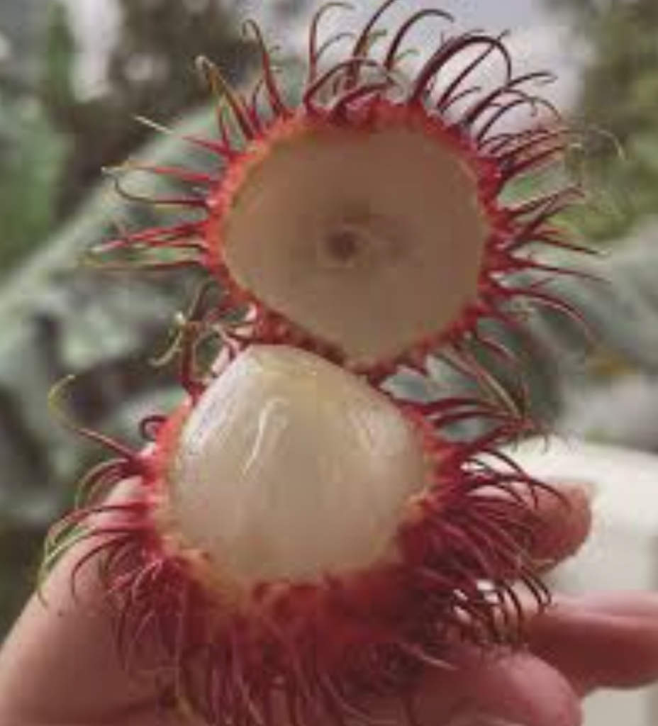 open rambutan