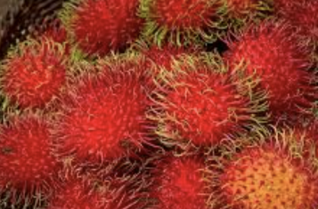 rambutan