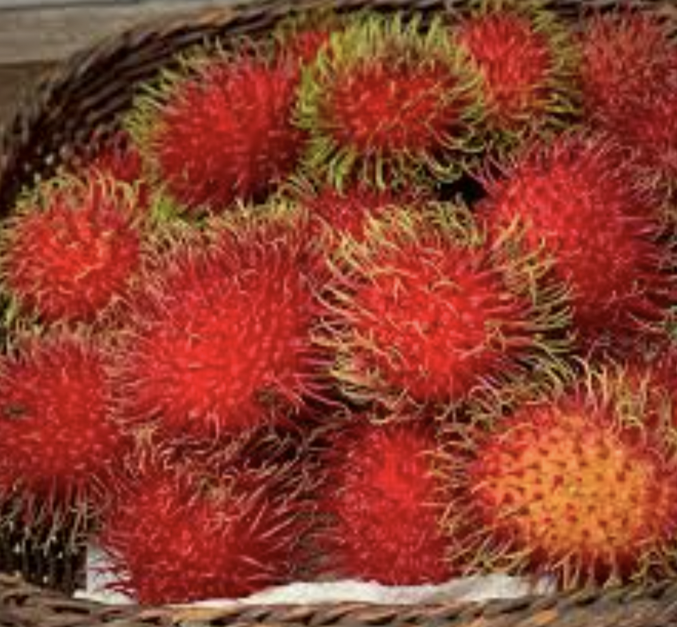 Rambutan: The Exotic, Hairy Fruit with a Sweet Heart — Young Pioneer Tours