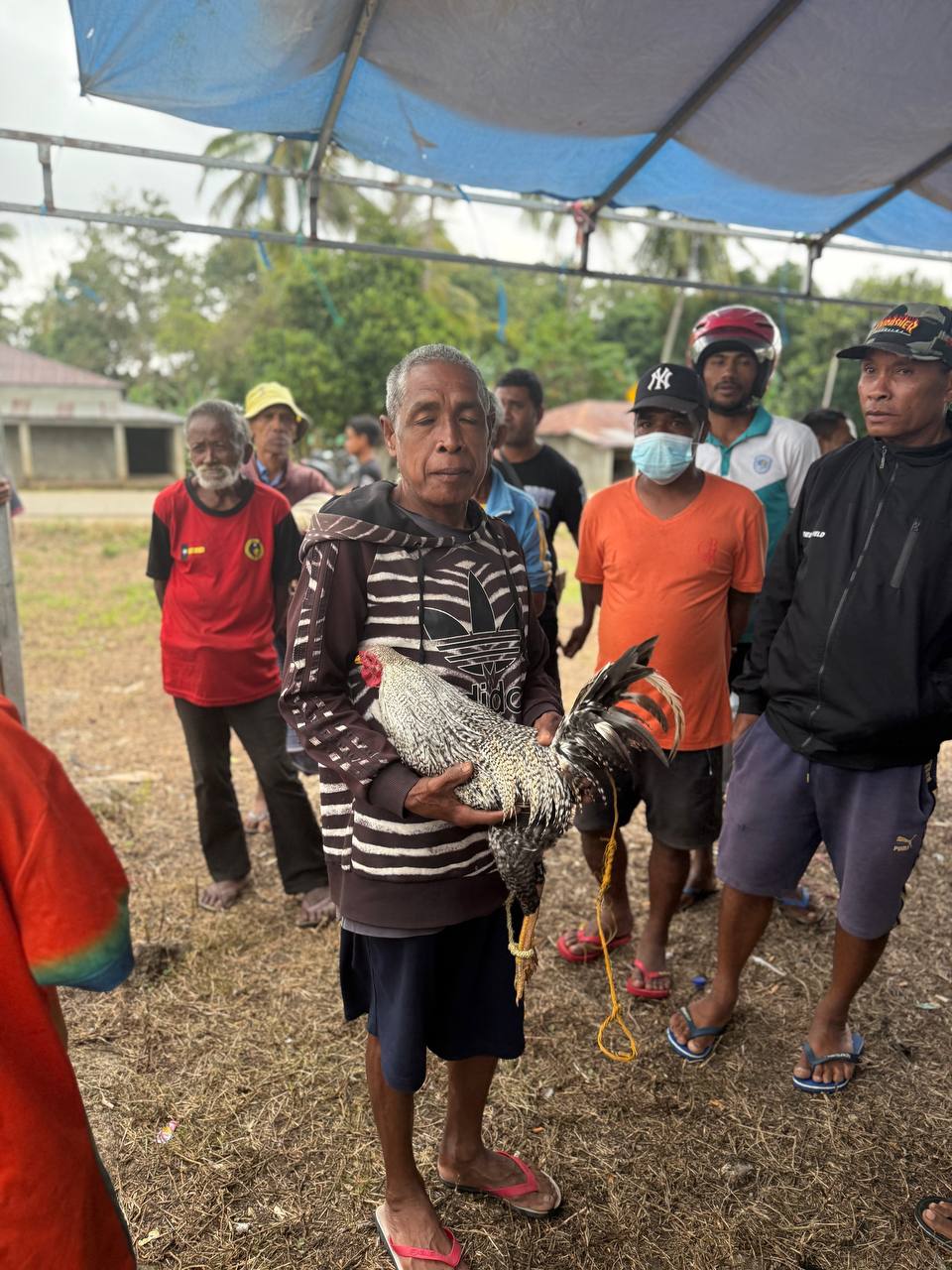 Baucau