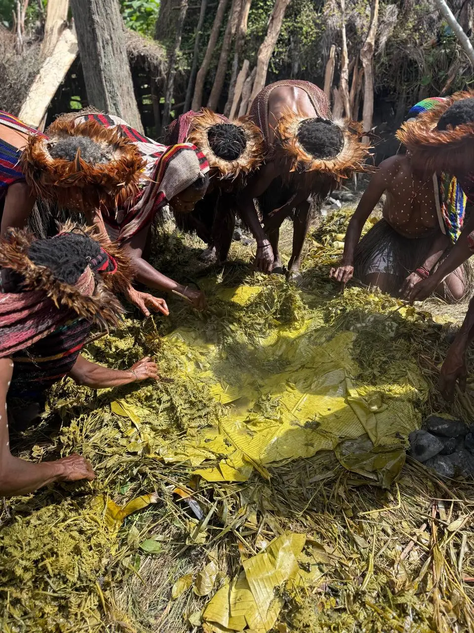 Wamena Guide