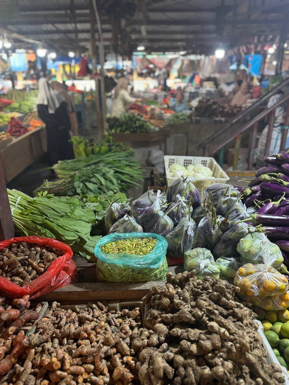 Jayapura Guide