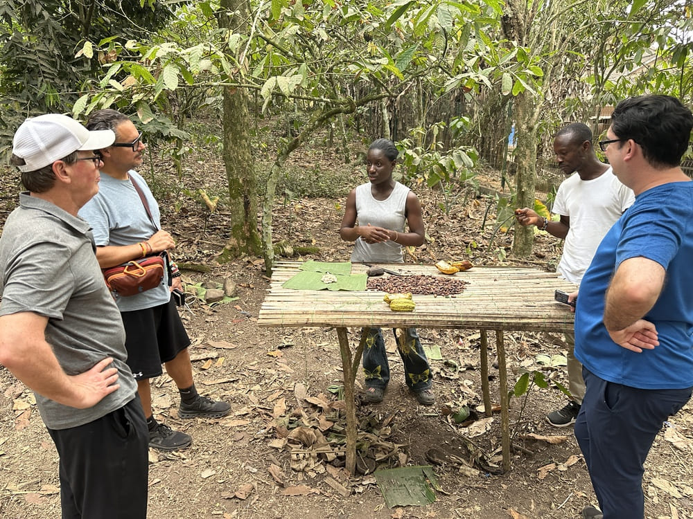 Ghana Cocoa