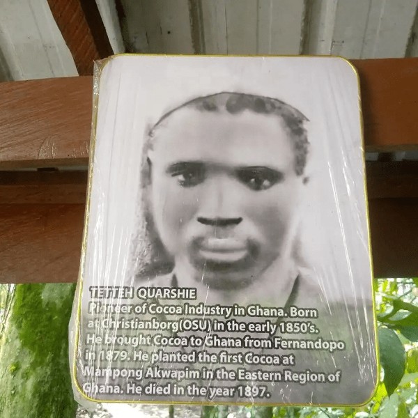 Ghana Cocoa