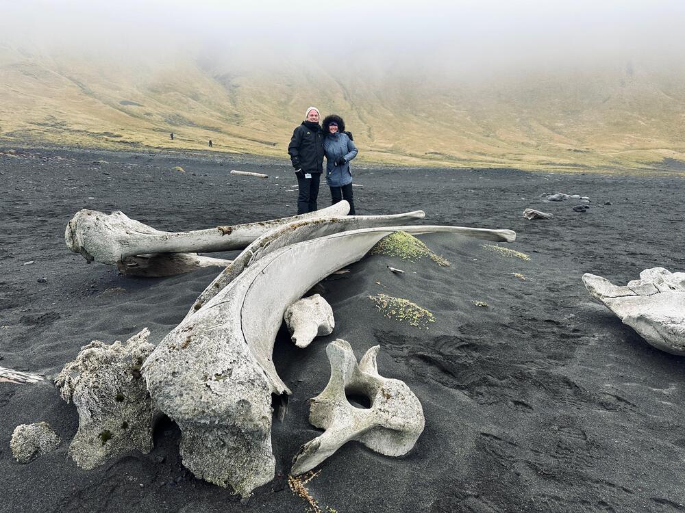 Jan Mayen