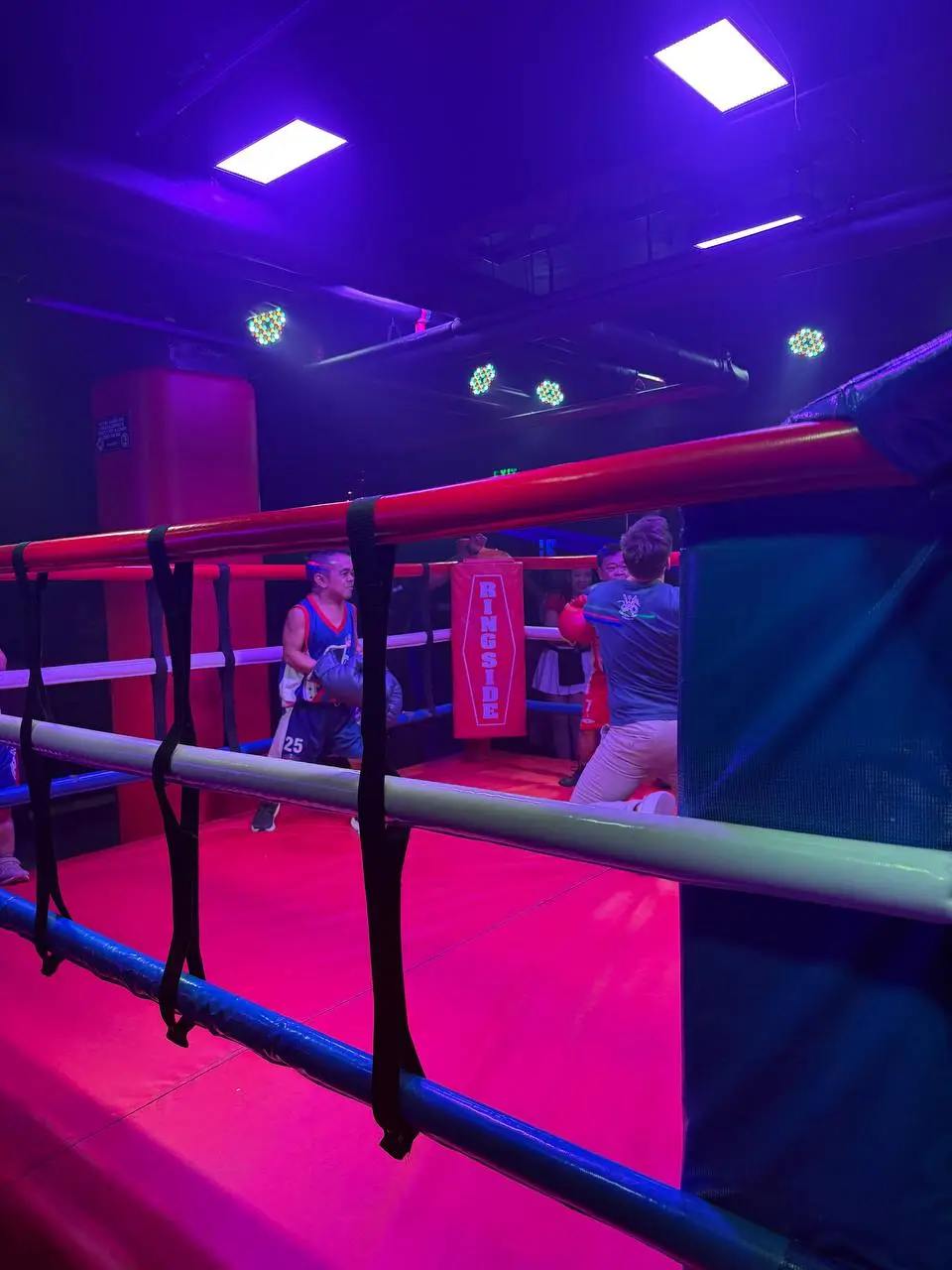 Ringside