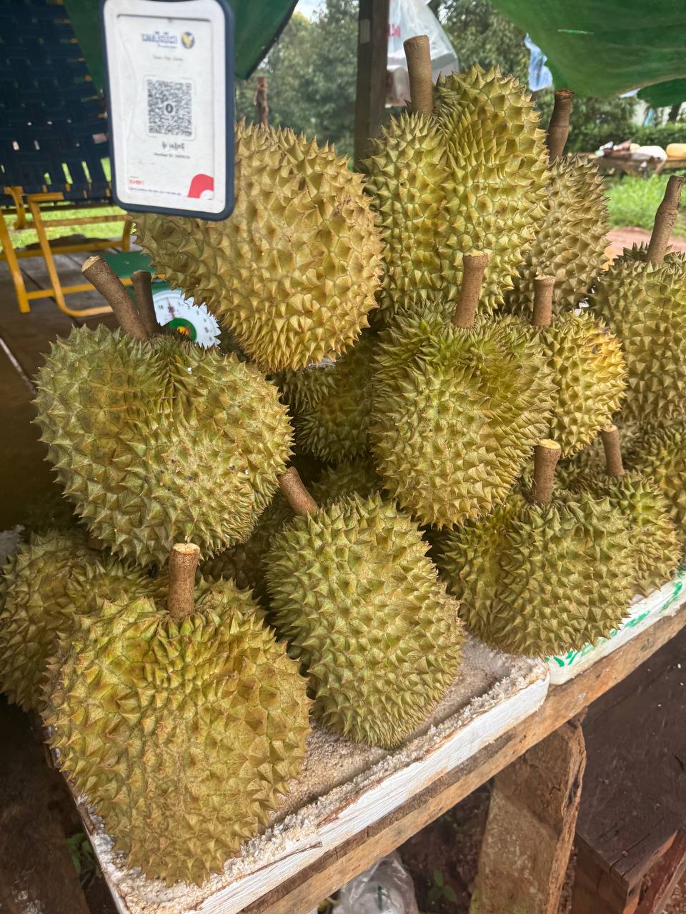 Osoam