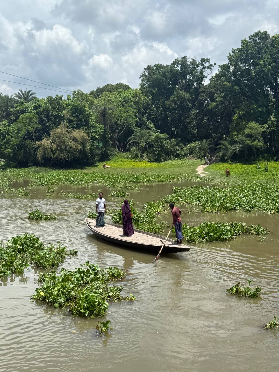 Sundarbans