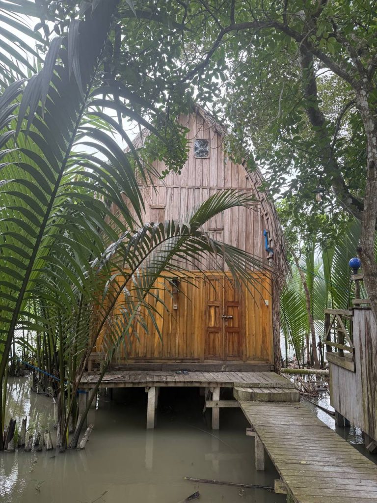 Sundarbans