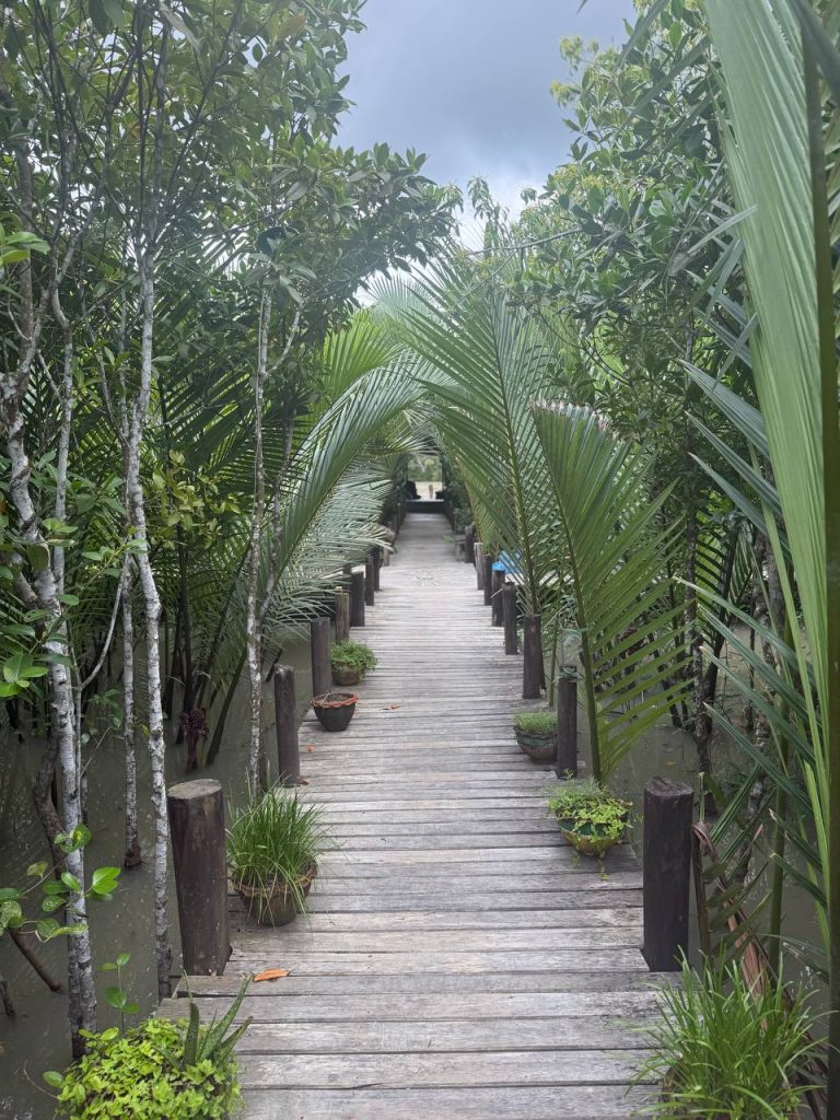 Sundarbans