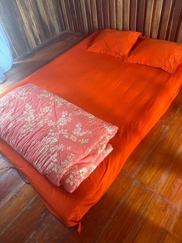 Sundarbans